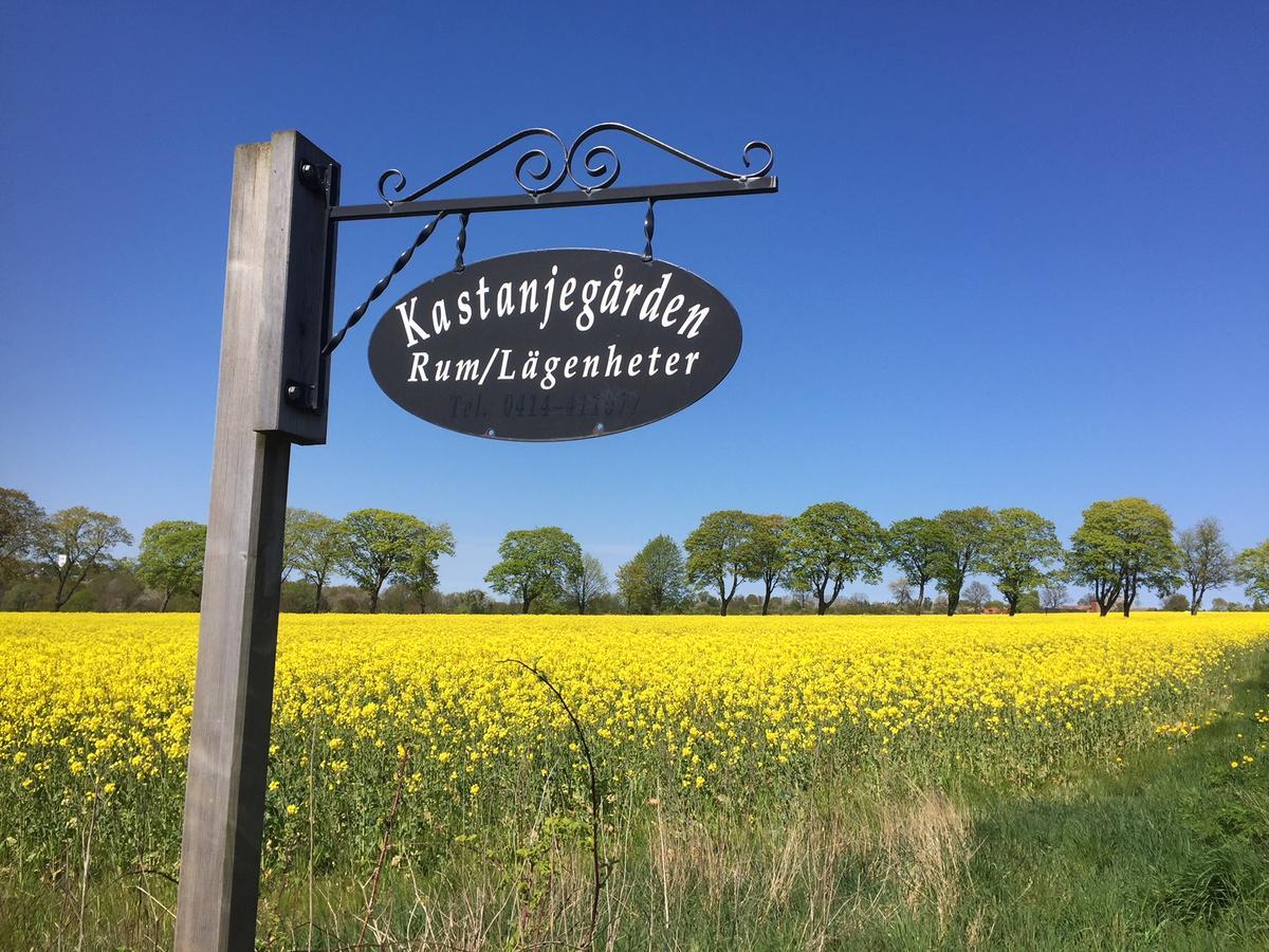 Kastanjegarden Pa Stenshuvud ชีวิค ภายนอก รูปภาพ